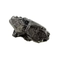 Pikkukuva 2 / 3: Kivet ja mineraalit. Bournoniitti. 461,0 ct. Mechelen, Saint-Laurent-le-Minier, Gard, Ranska.