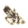 Miniatyrbillede 3 af 4: Sten og mineraler. Gips. 185,0 øre. Le Monestier-du-Percy, Isère, Frankrig..