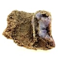 Miniatyrbillede 1 af 4: Sten og mineraler. Fluorit. 354,5 øre. Mont-Roc, Tarn, Frankrig.