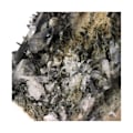 Miniatyrbillede 2 af 3: Sten og mineraler. Kvarts + Klorit + Albit. 2540,0 øre. Beaufortin, Tarentaise, Frankrig.