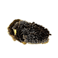 Miniatyrbillede 4 af 4: Sten og mineraler. Goethite. 1230,5 øre. Lakeview Load Claim, Park Co., Colorado, USA.