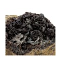 Miniatyrbillede 2 af 3: Sten og mineraler. Bournonit + Sphalerit. 1319,0 ct. Saint-Laurent-le-Minier, Occitanie, Frankrig.