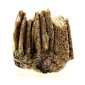 Miniatyrbillede 1 af 3: Wulfenit, Mimetit, Barite, Fluorit 334,6 karat
