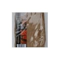 Pikkukuva 1 / 2: Papier Déco - Powertex - Luonnollinen - Ruskea - 30g - 60x25 cm