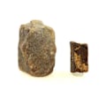 Miniatyrbillede 1 af 2: Sten og mineraler - ABIJOUX - Staurolit (2 stk) - 255.0 ct - Coët Ligné, Pontivy, Bretagne, Frankrig