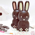 Pikkukuva 2 / 4: 3D Rabbit -suklaamuotti Transparent