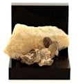 Miniatyrbillede 1 af 4: Sten og mineraler. Pink Fluorit, Calcit, Kvarts. 296,7 ct. Mont Blanc-massivet, Frankrig. Rosa
