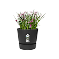 Pikkukuva 4 / 6: ELHO Greenville 30 pyöreä kukkaruukku - Ulkona - Ø 29,5 x P 27,8 cm - Musta elävä Lev svart
