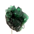 Miniatyrbillede 1 af 5: Sten og mineraler. Fluorit. 765,0 ct. Frosterley Weardale, Co. Durham, Storbritannien.