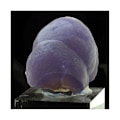 Miniatyrbillede 2 af 5: Botryoidal fluorit 2475,0 karat
