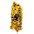 Pikkukuva 1 / 6: Kivet ja mineraalit. Pyromorfiitti. 933,5 ct. Les Fargesin kaivos, Ussel, Ranska.
