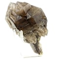 Miniatyrbillede 1 af 6: Sten og mineraler. Røget scepterkvarts (1,9 kg). 9482,0 ct. Minas Gerais, Brasilien. kastanj