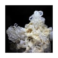 Miniatyrbild 3 av 3: Ame Quartz (faden quartz) + Calcite 662,9 karat