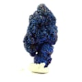 Miniatyrbillede 1 af 3: Sten og mineraler. Chessylit (Azurit). 21,5 ct. Chessy-les-Mines, Frankrig.