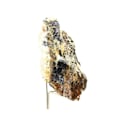 Miniatyrbillede 2 af 3: Sten og mineraler - ABIJOUX - Galena + Sphalerit + Calcit - Hautes-Alpes, Frankrig