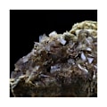Miniatyrbillede 3 af 4: Sten og mineraler. Aksinitis. 136,5 øre. La Balme d'Auris, Bourg d'Oisans, Isère, Frankrig..