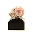 Miniatyrbillede 5 af 5: Sten og mineraler. Fluorit. 103,70 øre. Mont-Blanc-massivet (Les Droites), Frankrig.