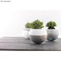 Miniatyrbillede 1 af 4: Boule floristique - Ikke specificeret - 12 cm - Transparent - 2 dele - Blandet Transparent