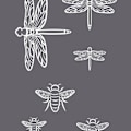 Pikkukuva 3 / 4: Insects A5 silkkipainatusstensiili Grå