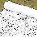 Miniatyrbillede 4 af 5: Camouflagenet Solbeskyttelse Camouflagenet Persienner Patio Mesh Net til Camping Skydning Jagt-WELLNGS Hvid White 3m by 4m