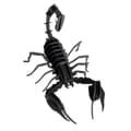 Fridolin - 3D-papirmodel Skorpion-FO-