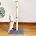 Miniatyrbillede 4 af 5: Kradsestolpe til kat - Kradsetræ - multicolor 2140