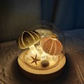 Miniatyrbillede 8 af 10: Søpindsvineskal natlampe svampelampe håndlavet gave til kæreste fødselsdag bryllupsgave