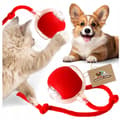 INTERAKTIV BOLL för katt och hund USB-LEKSAK vibrerande LED elektrisk_MGF