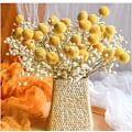 Miniatyrbillede 6 af 6: 20 stk. naturlige tørrede blomster Billy Balls blomster Billy Buttons blomsterbuket til blomsterarrangementer bryllup hjem høj vasedekoration gul