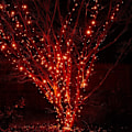 Miniatyrbild 4 av 5: Ljusremsa med 200 LED-lampor, 20 meter lång, för julbelysning Orange Orange 200 LED