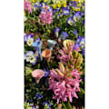 Miniatyrbild 3 av 3: Drickskål för bin, Bidrickskål Tvåfärgade Biskålar Färgglada Insektsdrickskålar för bin, Biskålar Samla A