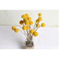 Miniatyrbillede 2 af 6: 20 stk. naturlige tørrede blomster Billy Balls blomster Billy Buttons blomsterbuket til blomsterarrangementer bryllup hjem høj vasedekoration gul
