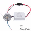 1/3W Infälld Mini Spotlight Lampa Takmonterad LED Downlight Warm white 1W