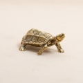 Miniatyrbillede 2 af 8: Retro Messing Skildpadde Statue Desktop Ornamenter Solid Kobber Turt Gold one size
