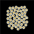 Miniatyrbillede 1 af 5: 50 stk hvid tusindfryd blomst harpiks flatback cabochon DIY smykker de one size