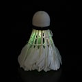 Pikkukuva 1 / 8: Valaistus Sulkapallo Dark Night Värikäs LED-valaistus Urheilu Badmi Multicolor one size