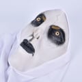 Miniatyrbillede 8 af 8: The Horror Nun Latex Mask m/tørklæde Valak Cosplay til Hallow White onesize