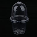 Pikkukuva 2 / 8: 5 kpl lastenhuoneruukun läpinäkyvät muoviset PET-kupit, joissa on kansi Transparent 5Pcs