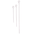 Miniatyrbilde 3 av 5: 10 stk kjøttgås Rundstek grillspyd Pinne i rustfritt stål Silver L:30cm