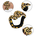 Miniatyrbild 3 av 8: Knepig Rolig Parodi Simulering Snake Toy Snake Armband Nyhet A5 one size