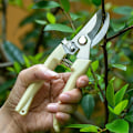 Pikkukuva 6 / 8: Puutarhasakset Ammattimaiset puutarhatrimmeri Orchard Sci Elbow onesize