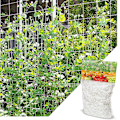 Miniatyrbilde 3 av 5: Hage Klatrenett gjerde Trellis Netting Support Klatre Cre White 10m