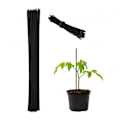 Pikkukuva 1 / 8: Kukkatikut 30 cm 50 kpl:n setissä