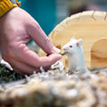 Miniatyrbillede 3 af 6: Hamsterhus i træ