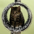 Pikkukuva 10 / 10: Raaputustolppa Cat Tree Zebra Design Kiipeilytunneli Juuttitolppa Musta + Valkoinen 93Cm