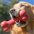 Miniatyrbild 4 av 6: KONG Goodie Bone S 4,8 cm x 13 cm