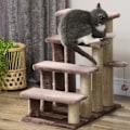 Miniatyrbild 10 av 10: 4-stegs katttrappa med skrapstolpe, upp till 5 kg, husdjurstrappa med lekboll, hundtrappa, djurtrappa, plysch, brun, 60 x 40 x 64 cm