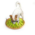 Miniatyrbild 6 av 6: AFP Dig It - Vikbar godismatta
