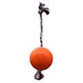 Miniatyrbild 2 av 3: Jolly Ball Romp-n-Roll 20 cm Apelsin (Vaniljdoft)