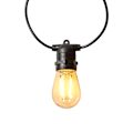 Miniatyrbillede 4 af 9: SmartLife jluelys | Party Lights | Wi-Fi | Varm Hvid | 10 LED's | 9.00 m | Android™ / IOS | Pærediameter: 45 mm